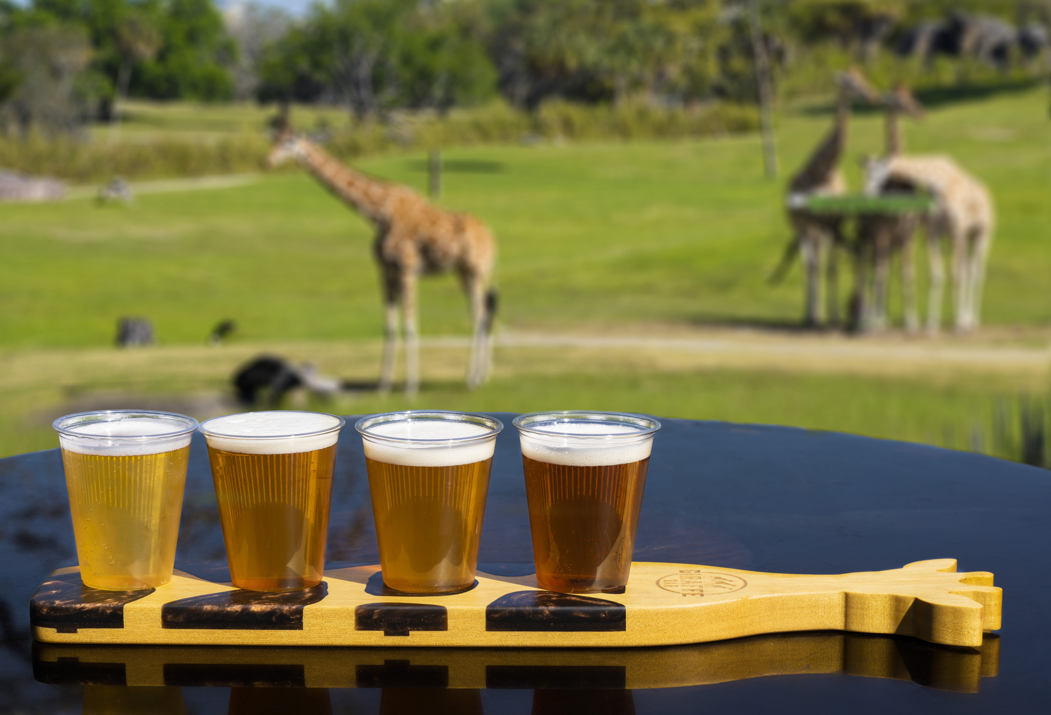 Bush Gardens Giraffe Bar