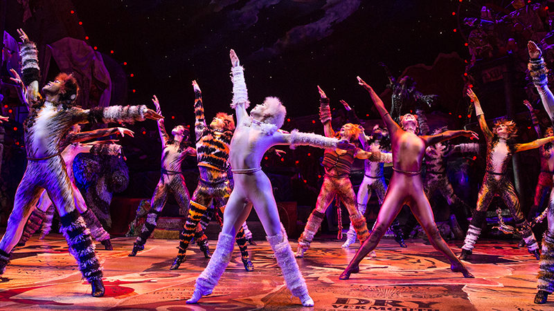 CATS is Coming to the Dr Phillips Center. Broadway is coming back