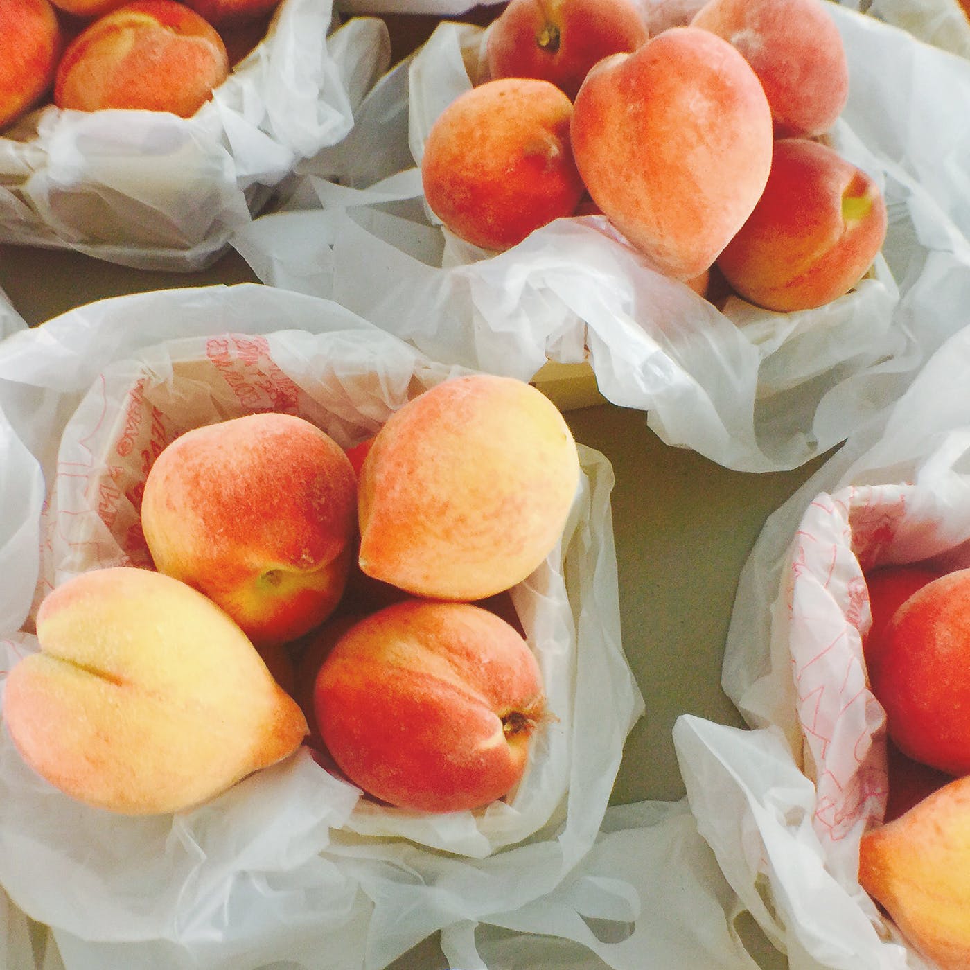 Places For Picking Perfect Peaches 2022