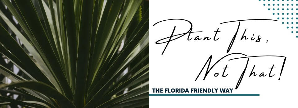 Interfaith Environmental Alliance of Central Florida | Plant This, Not That!