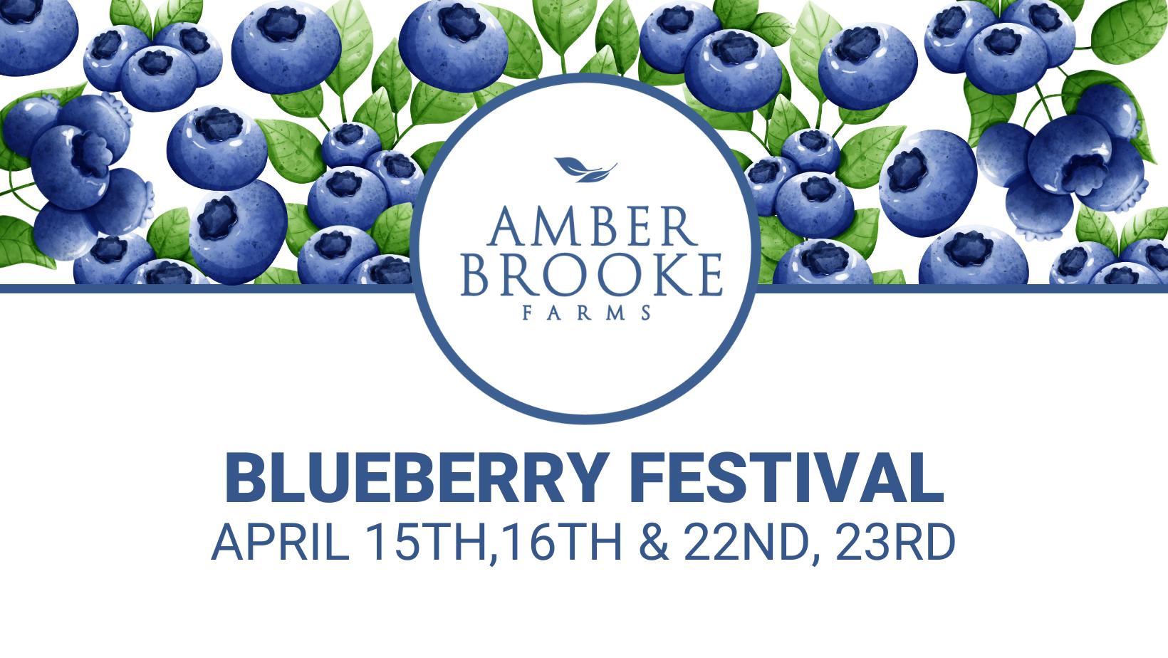 2nd Annual Blueberry Festival at Amber Brooke Farms | Eustis, FL