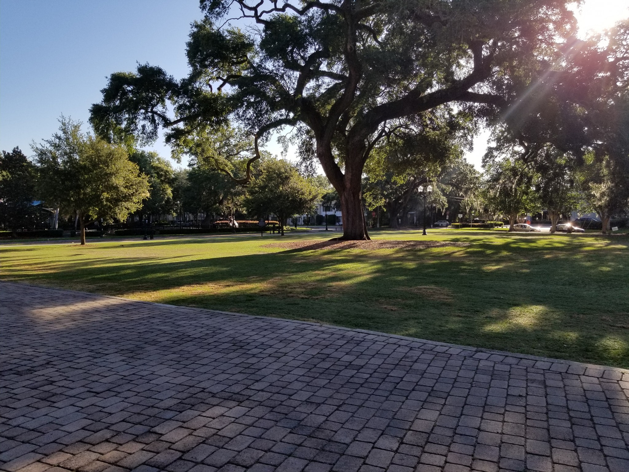 What Are The Best Picnic Spots in Orlando? Check Them Out Now!