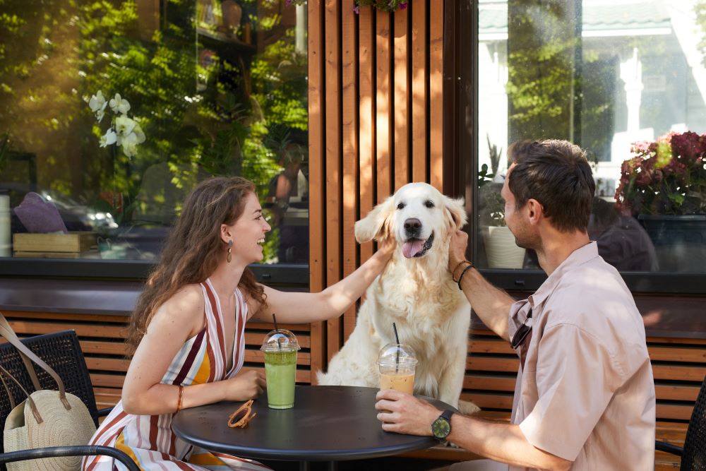Best things to do with your dog in Orlando